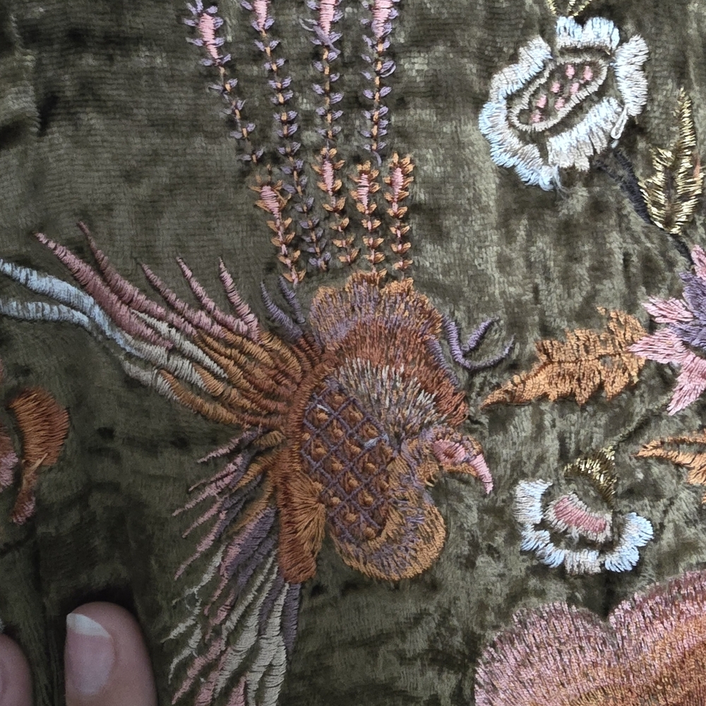 Embroidered Velvet Jacket - Picture 4 of 10